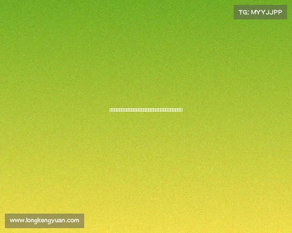 德甲联赛历史数据分析与趋势预测：从进球数到球队表现的全面解读